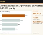 Harga CPO Naik ke RM4.817 per Ton di Bursa Malaysia, KPBN Rp15.200 per Kg: Didukung Minyak Mentah dan Minyak Kedelai